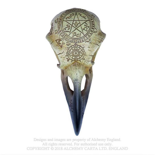 Omega Raven Skull