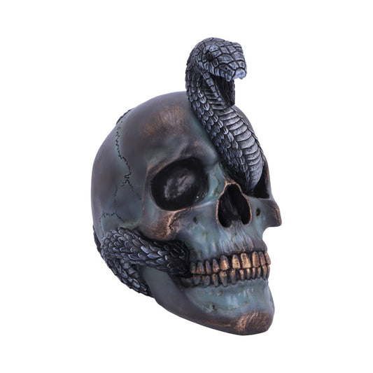 Serpentine Faith Skull 19 cm