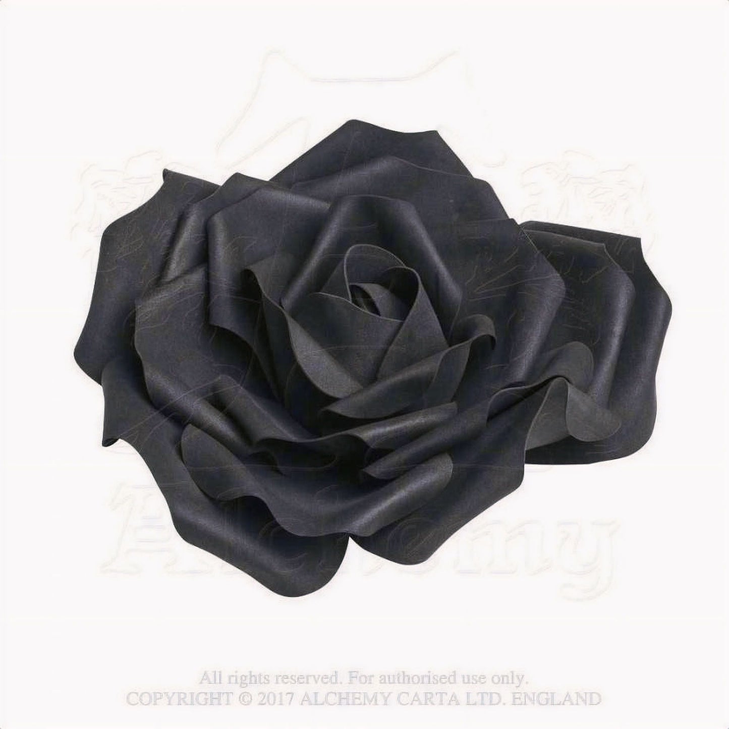 Large Black Rose Head