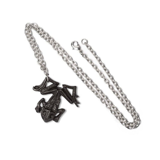 Black Paddock Hanger - Halsketting