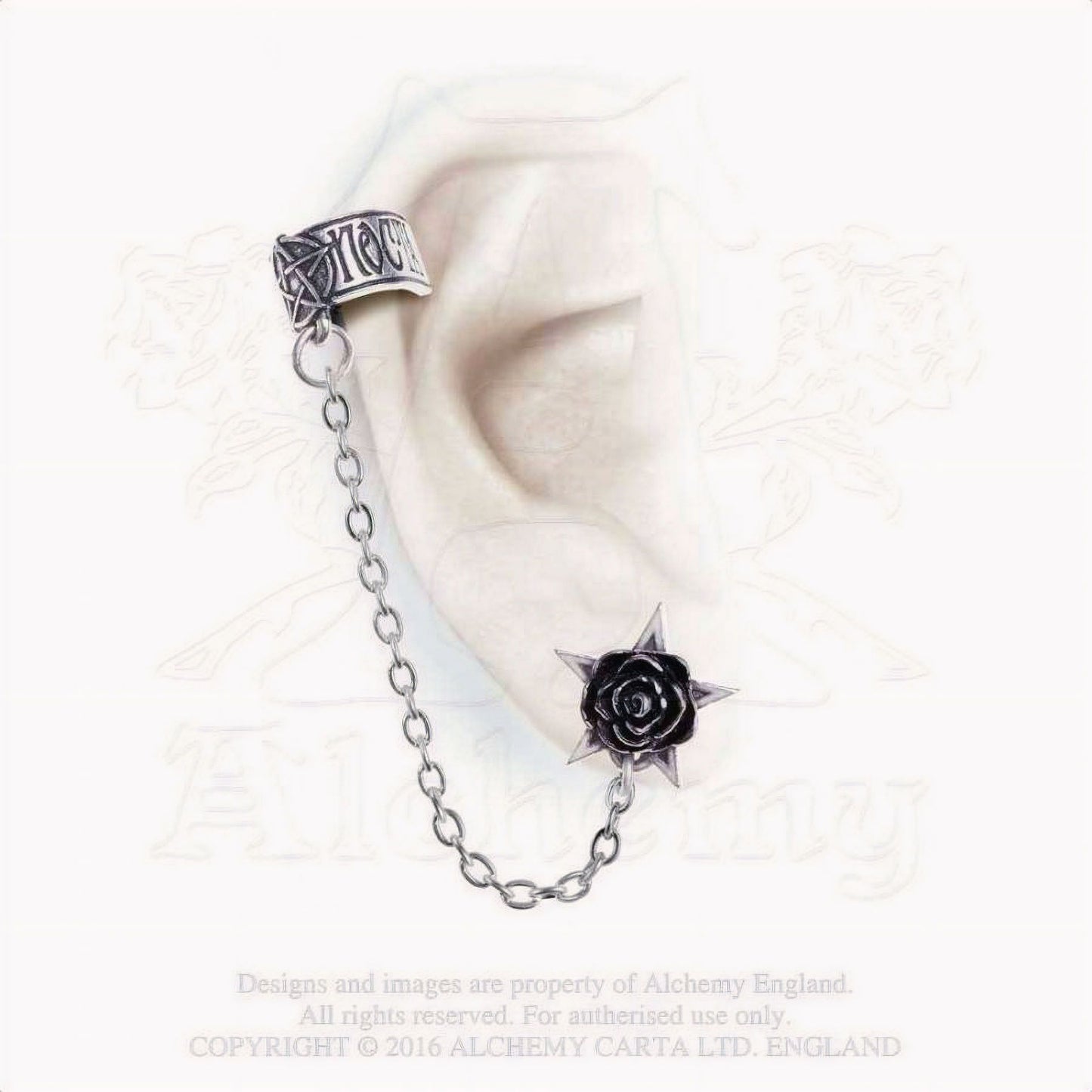 Rosa Nocta Cuff Oorsteker