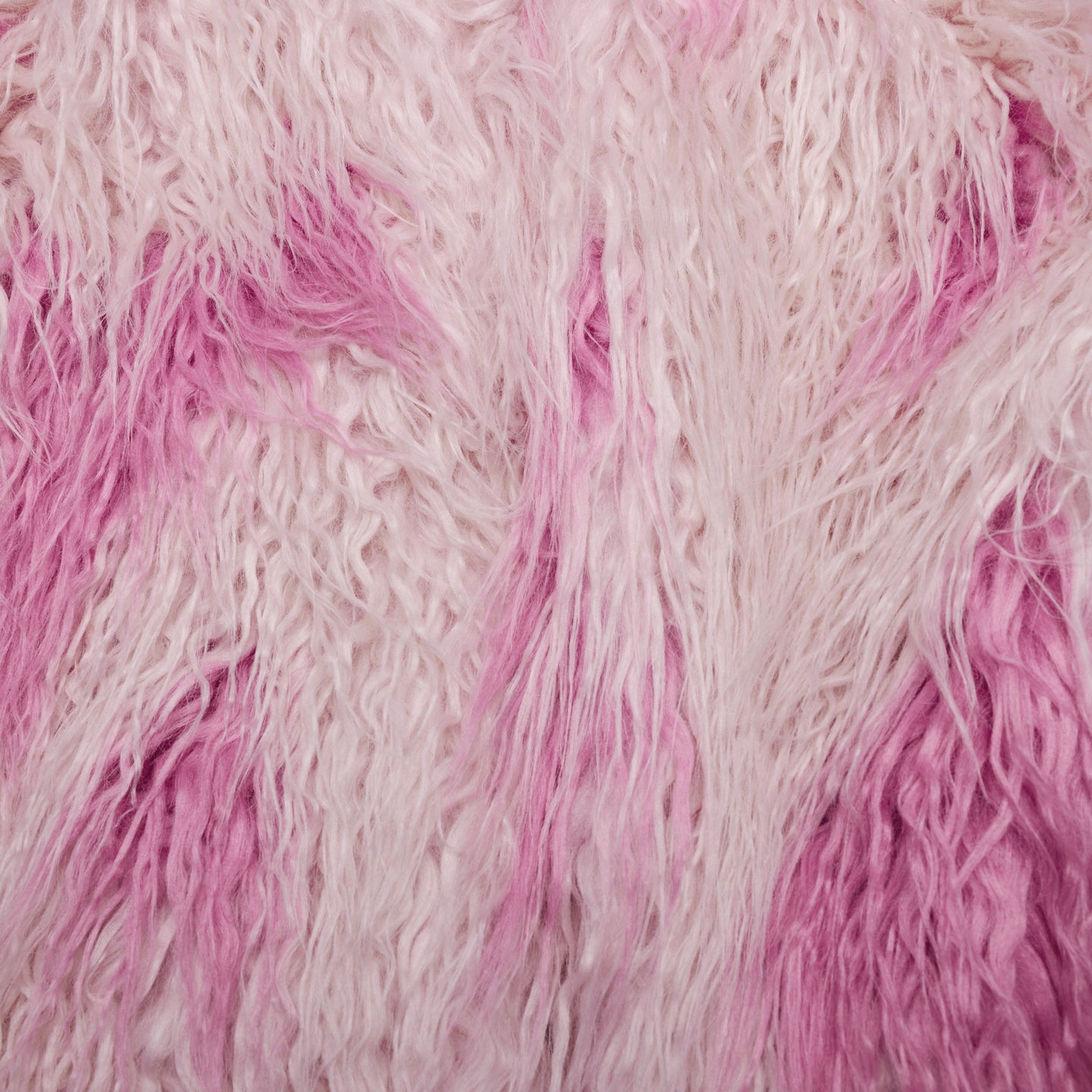 In Time Jas Roze