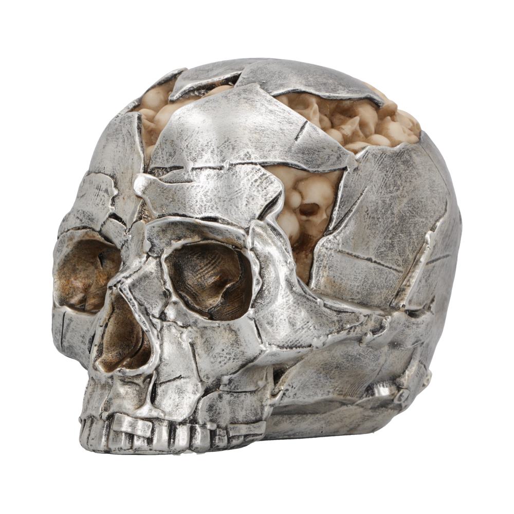 Fracture Skull Small 11 cm