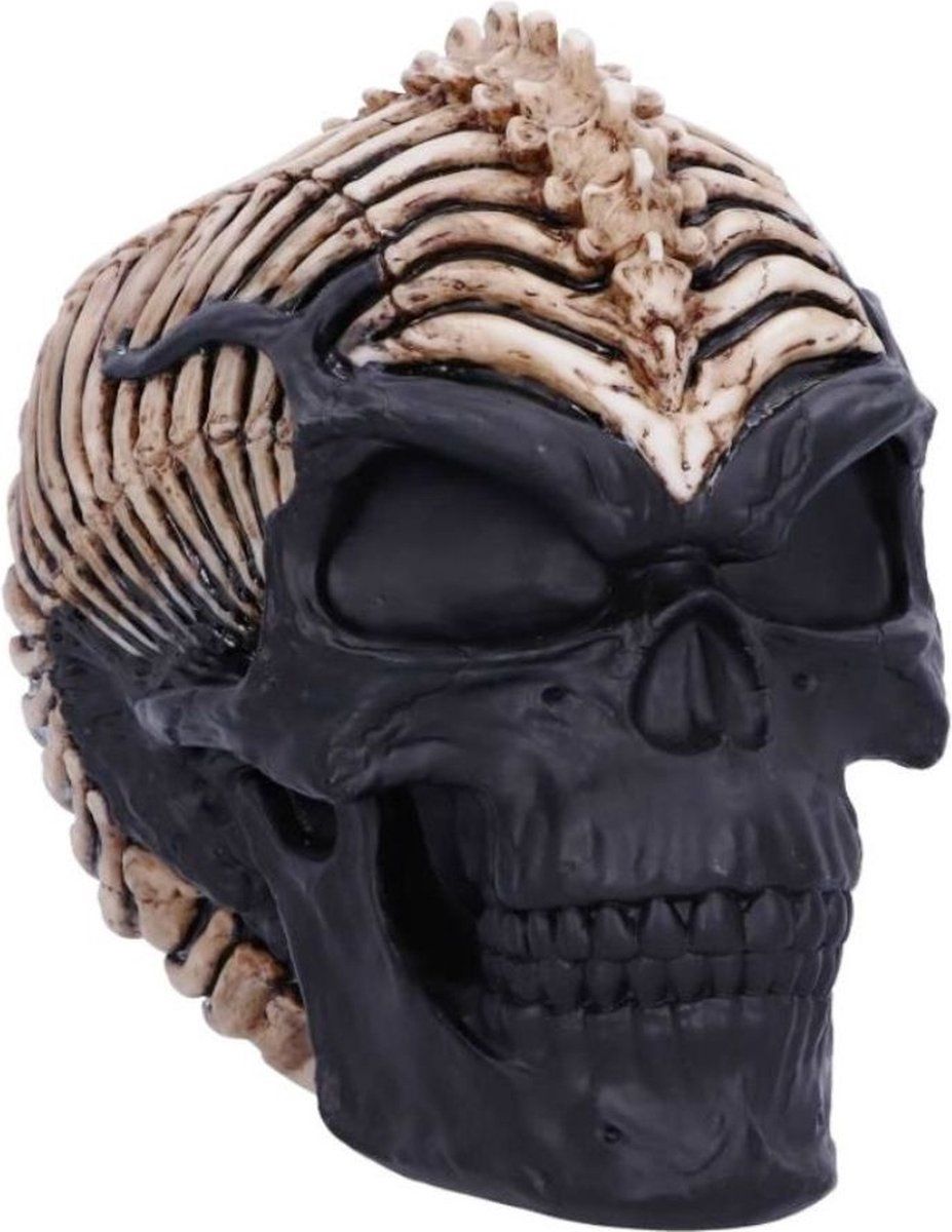Spine Head Skull 18,5 cm