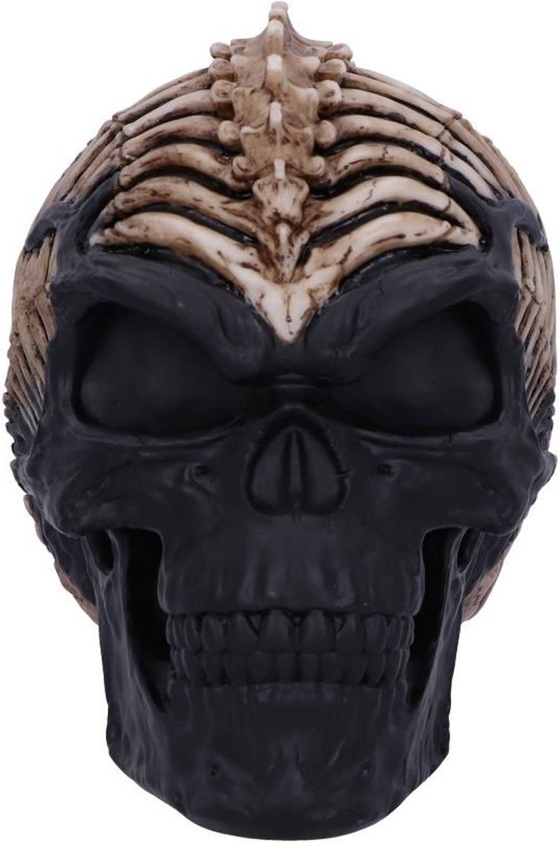 Spine Head Skull 18,5 cm