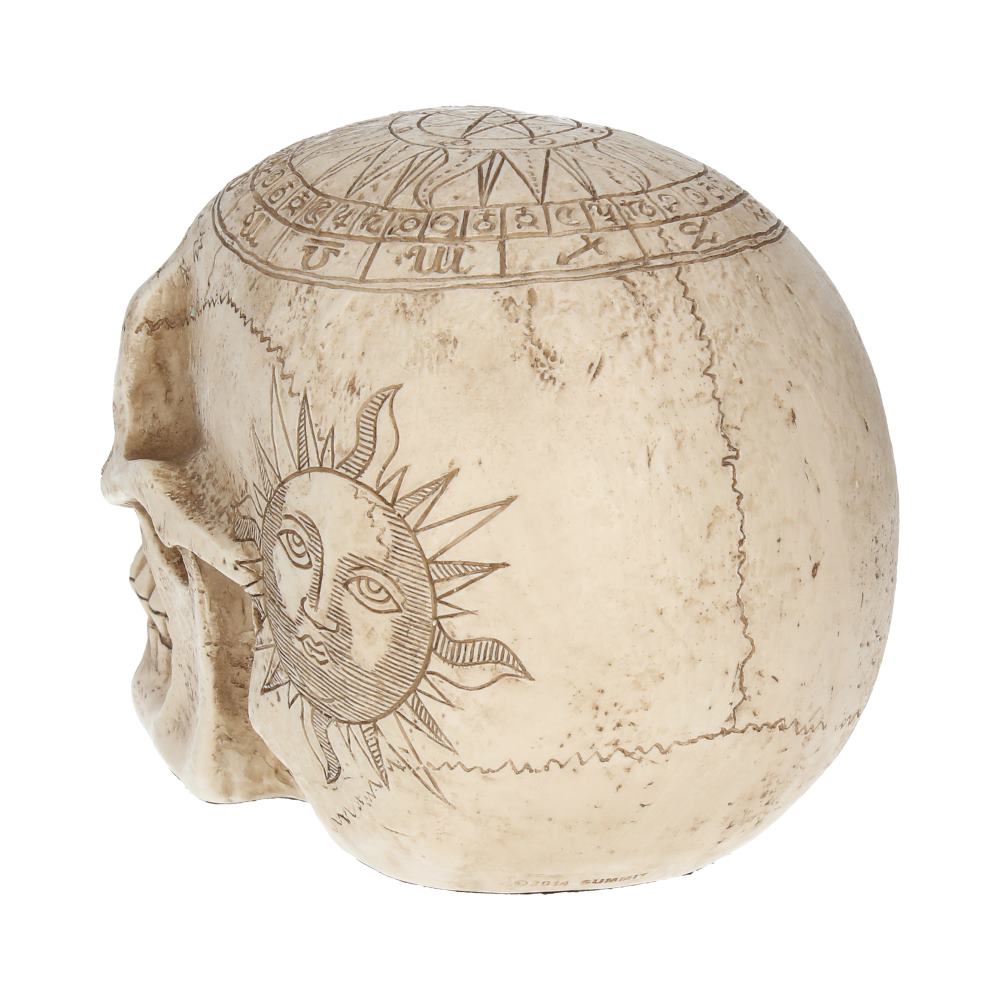Astrological Skull 20 cm