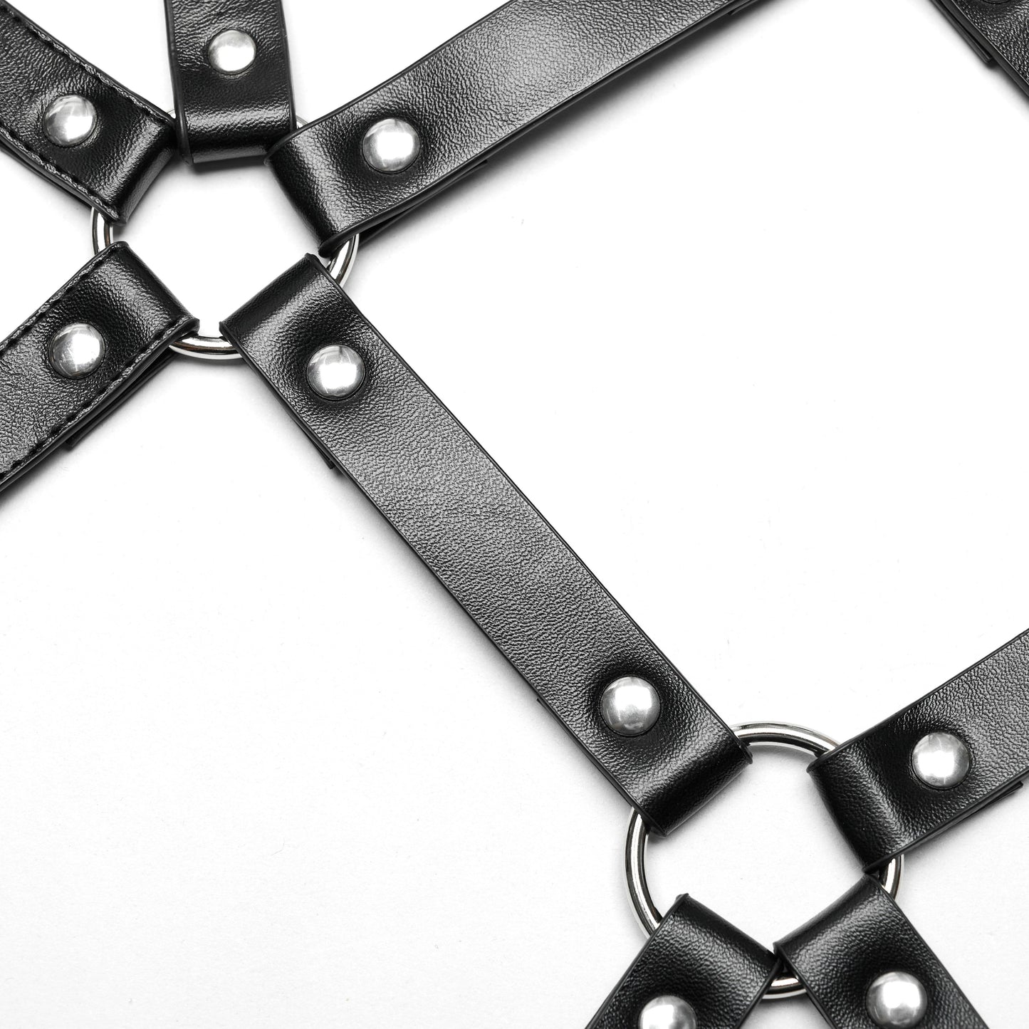 Intrigued Harness
