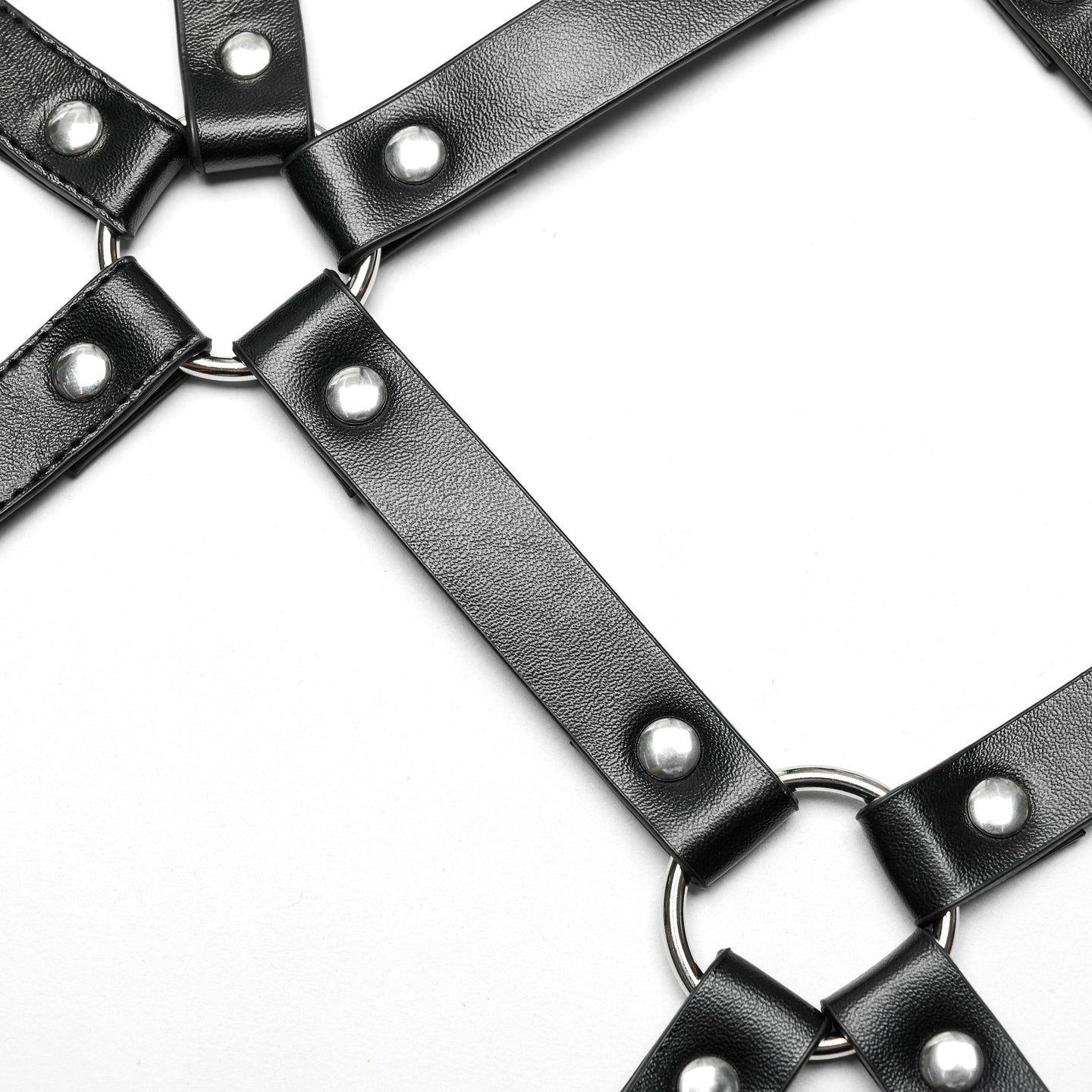 Intrigued Harness