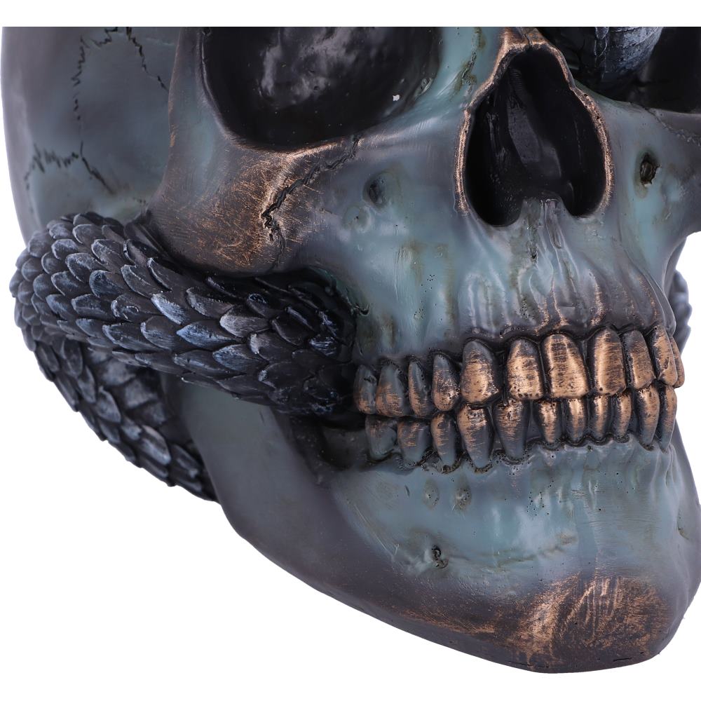 Serpentine Faith Skull 19 cm