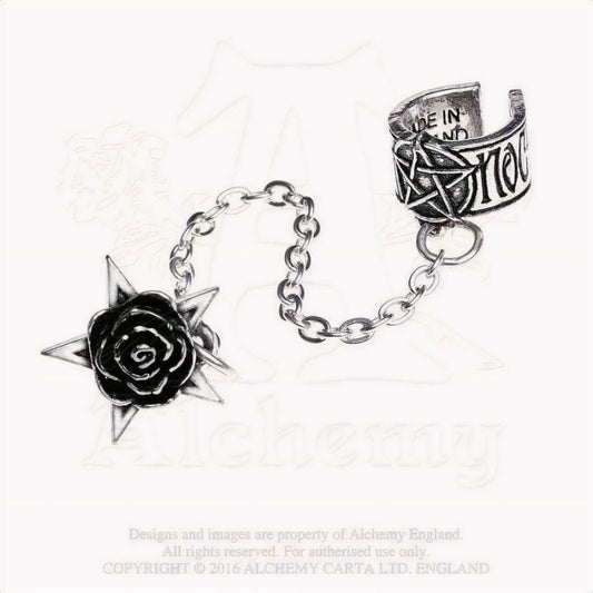 Rosa Nocta Cuff Oorsteker