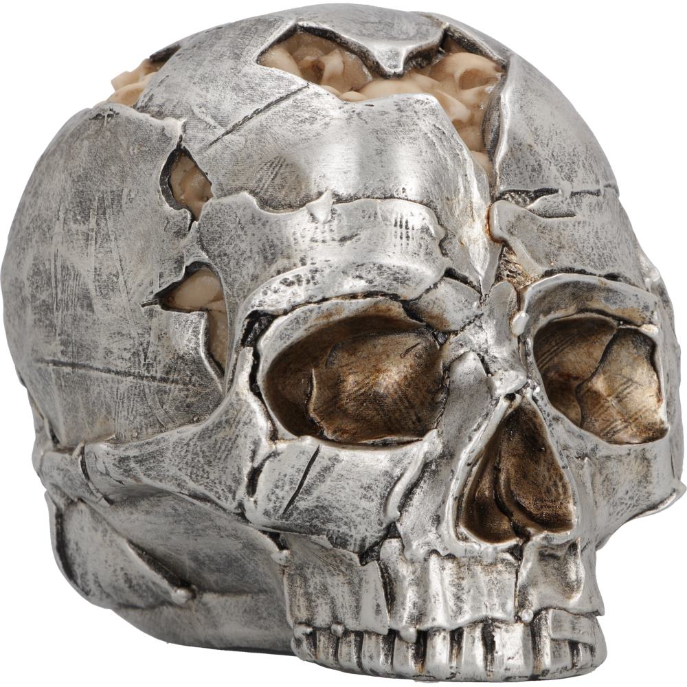 Fracture Skull Small 11 cm