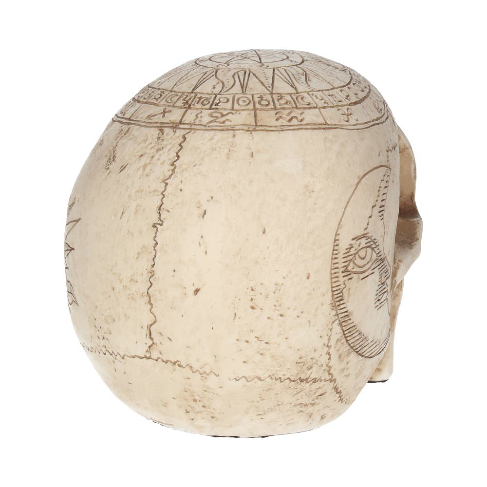Astrological Skull 20 cm