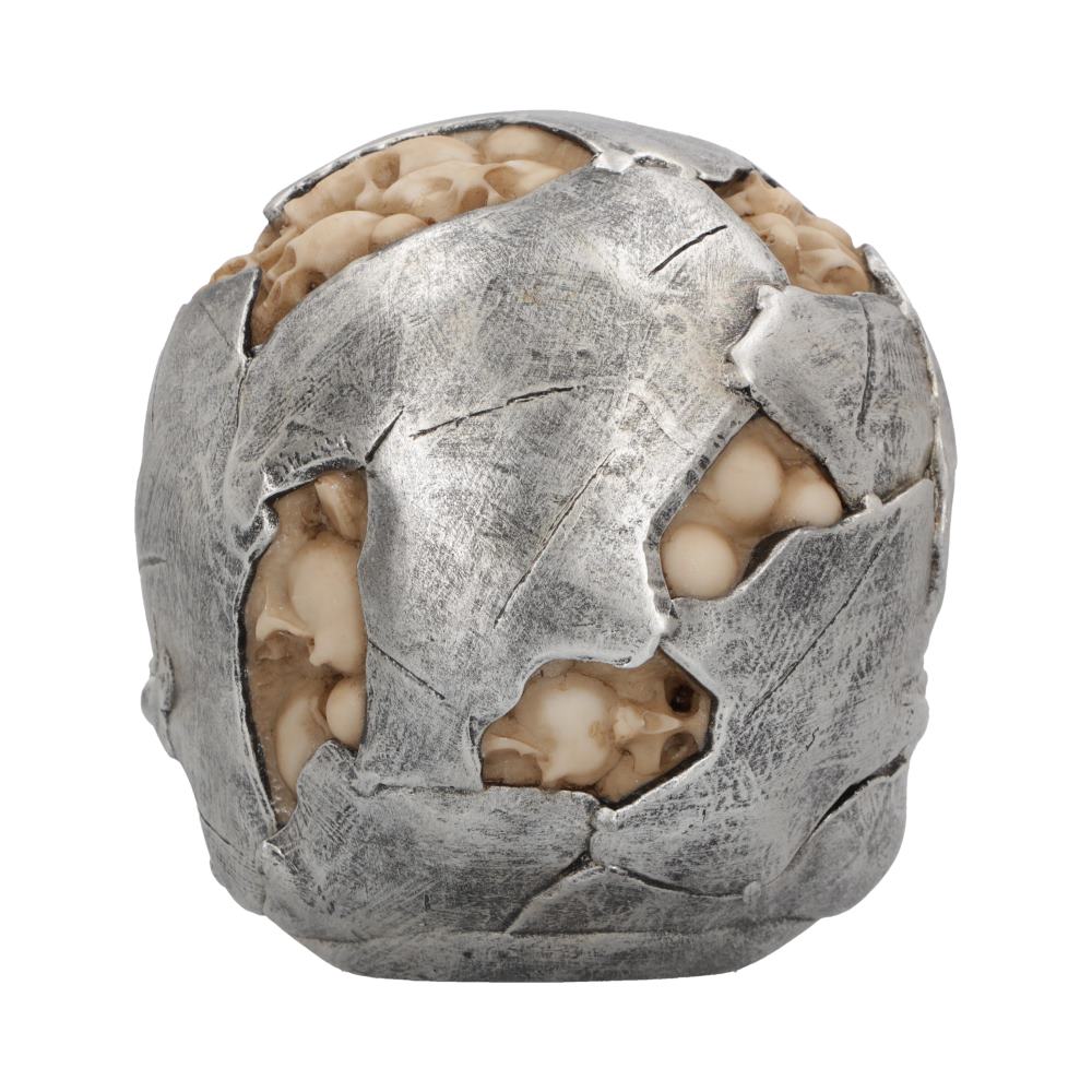 Fracture Skull Large 16 cm