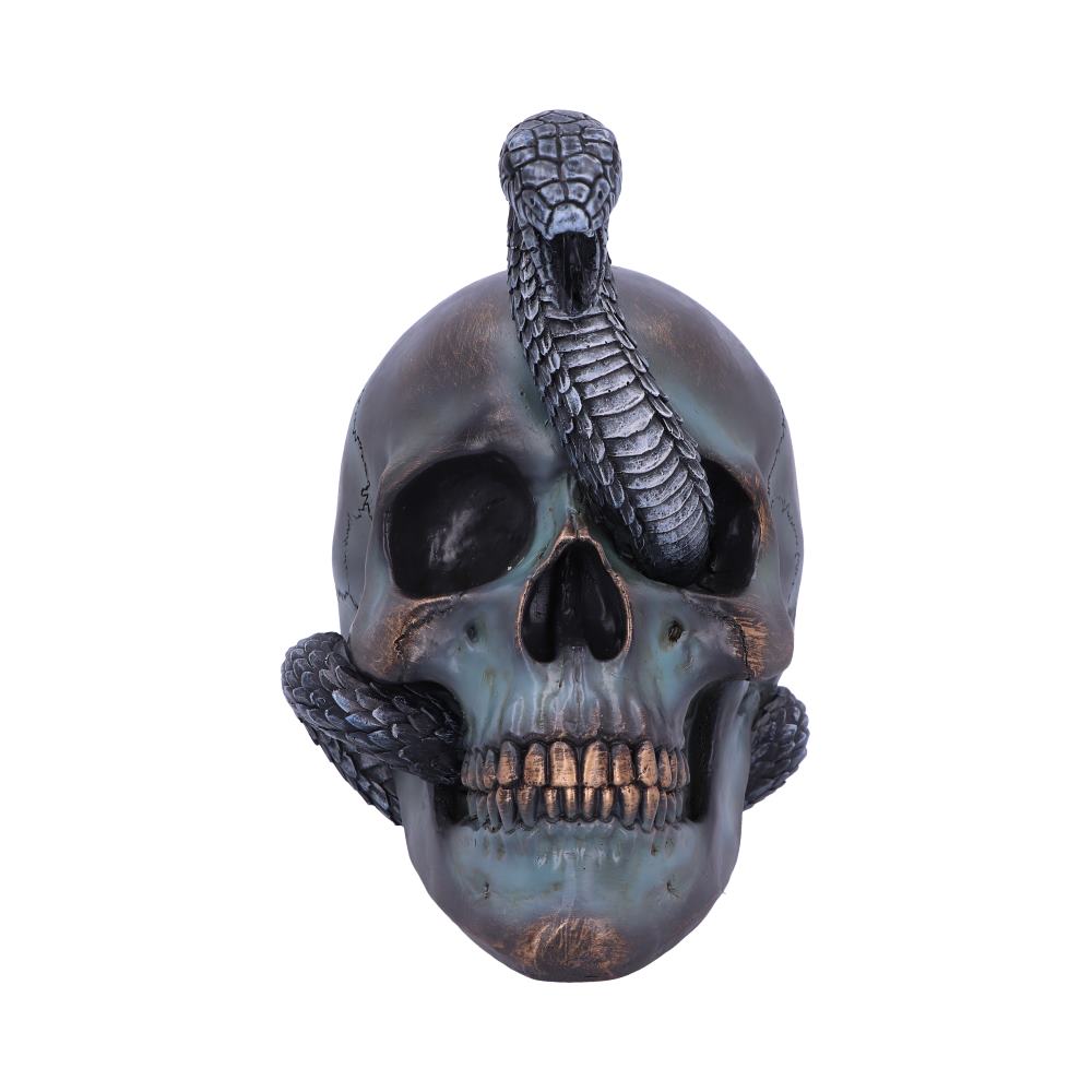 Serpentine Faith Skull 19 cm
