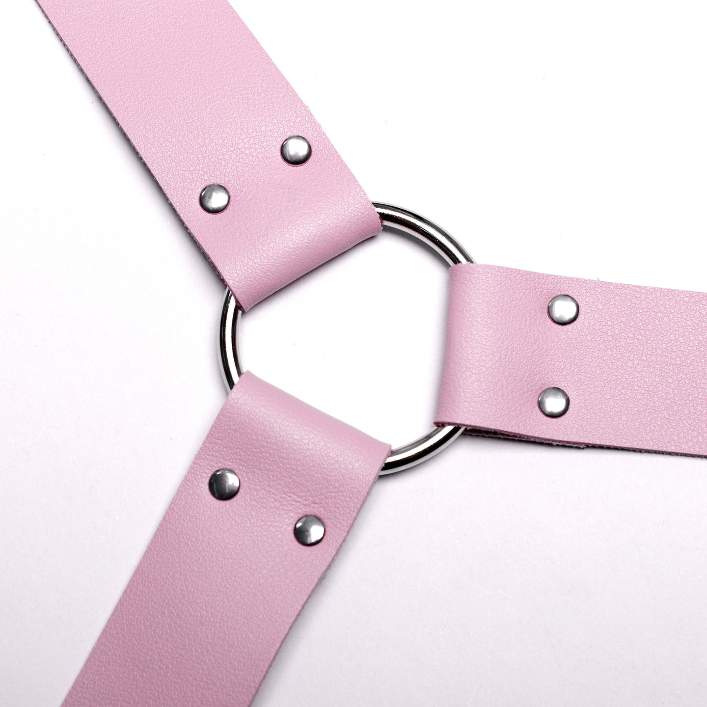 Haunt Me Harness Roze