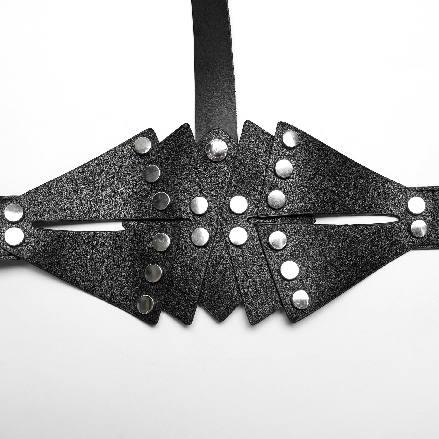 Learn Your Lesson Harness