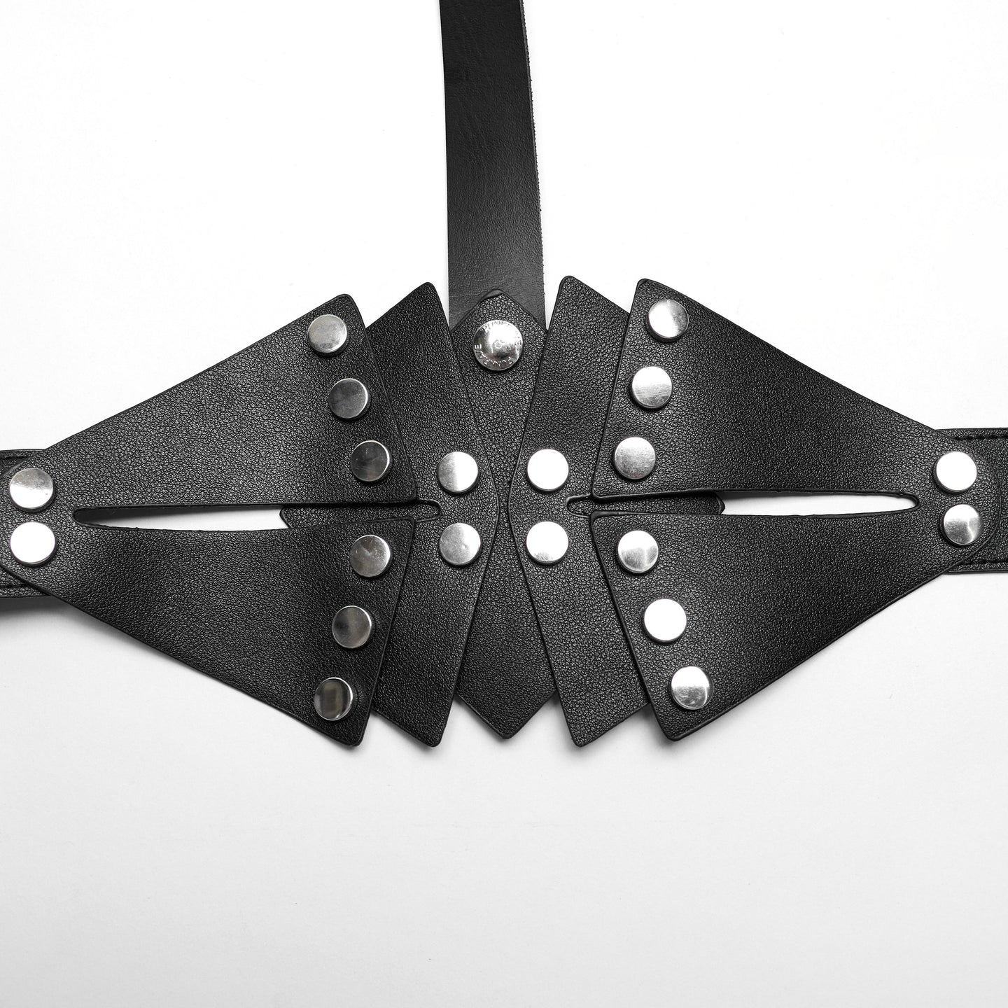 Learn Your Lesson Harness