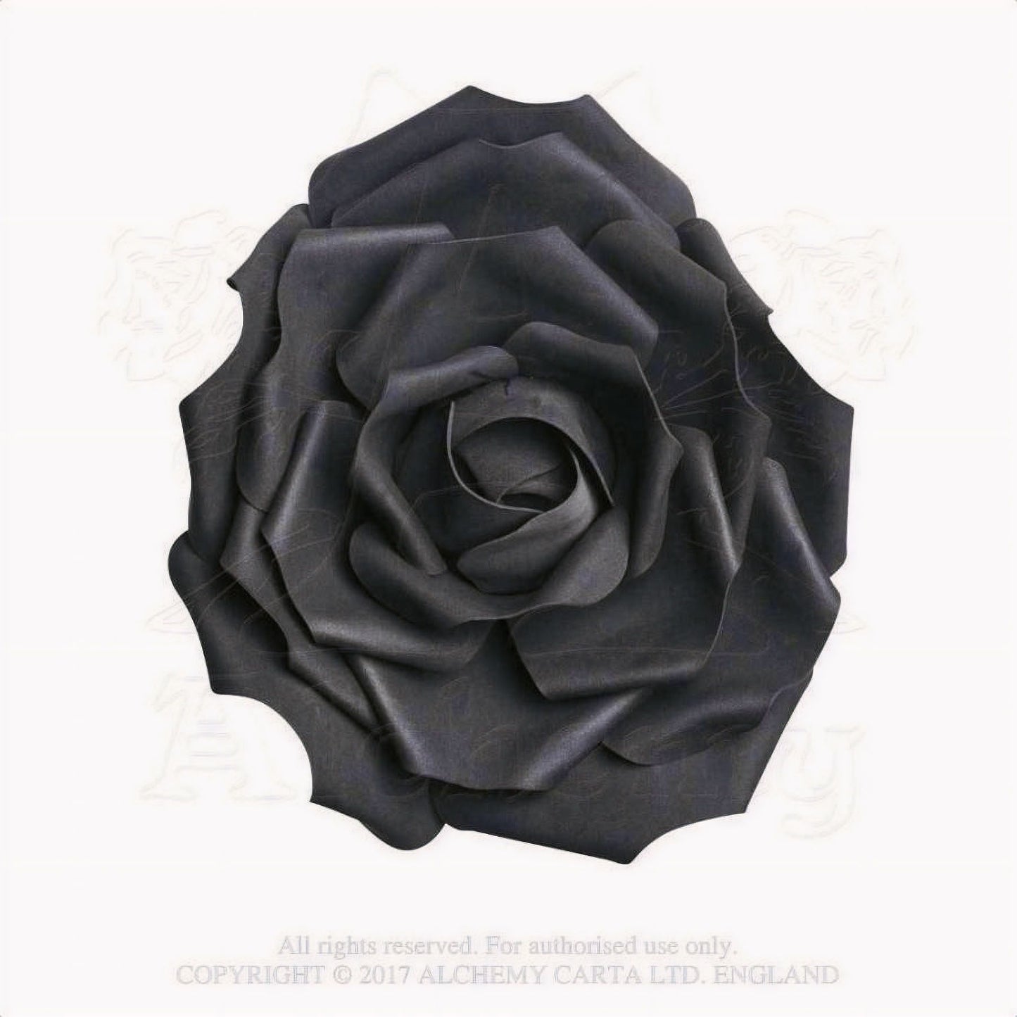 Large Black Rose Head