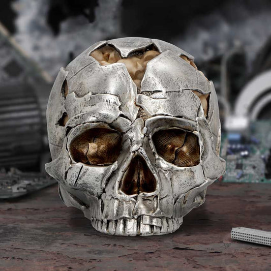Fracture Skull Small 11 cm
