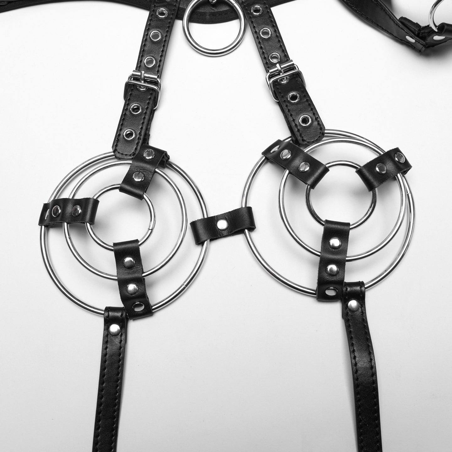 Are You Ready Harness