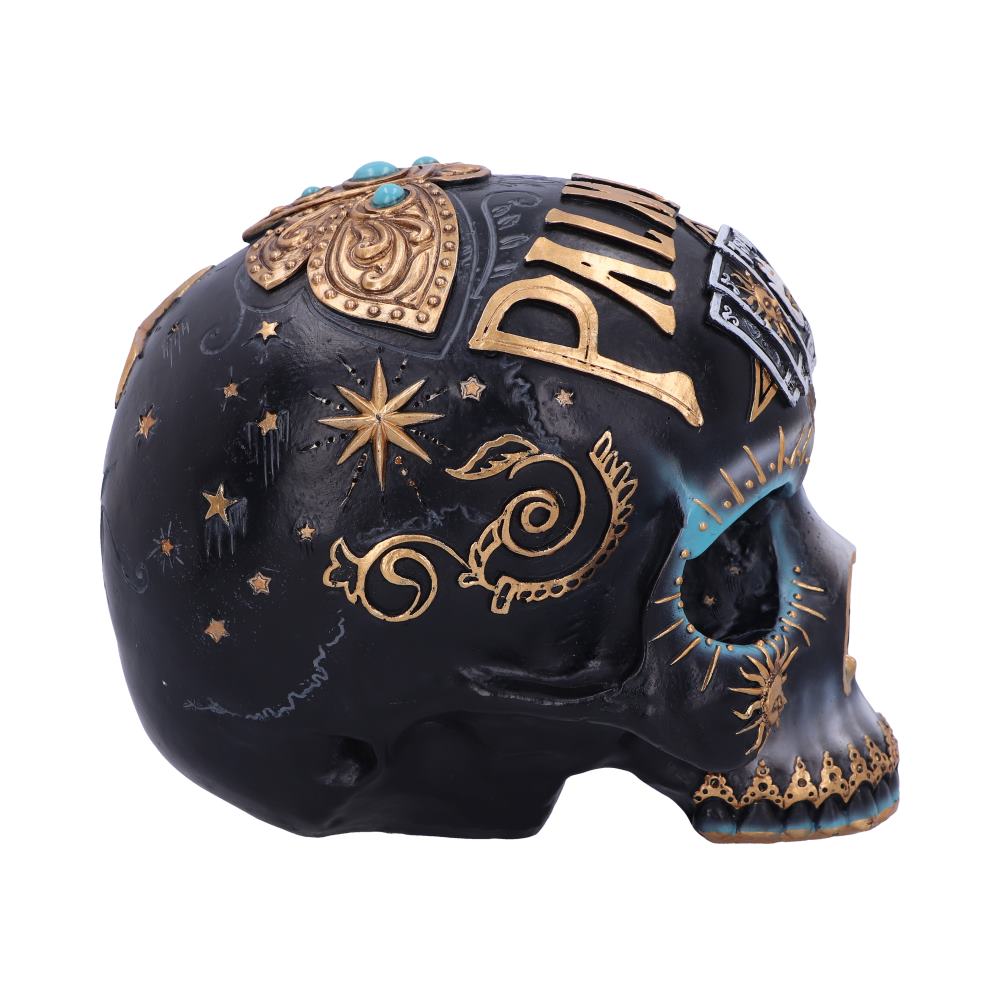 Destiny Skull 18 cm