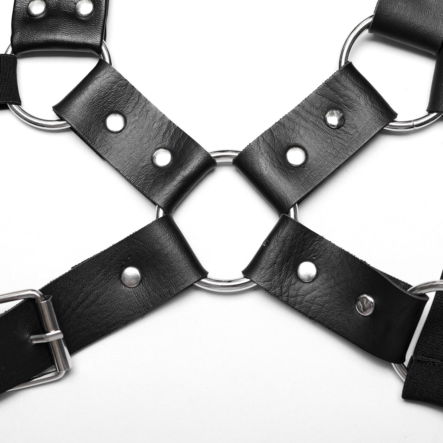 Learn Your Lesson Harness