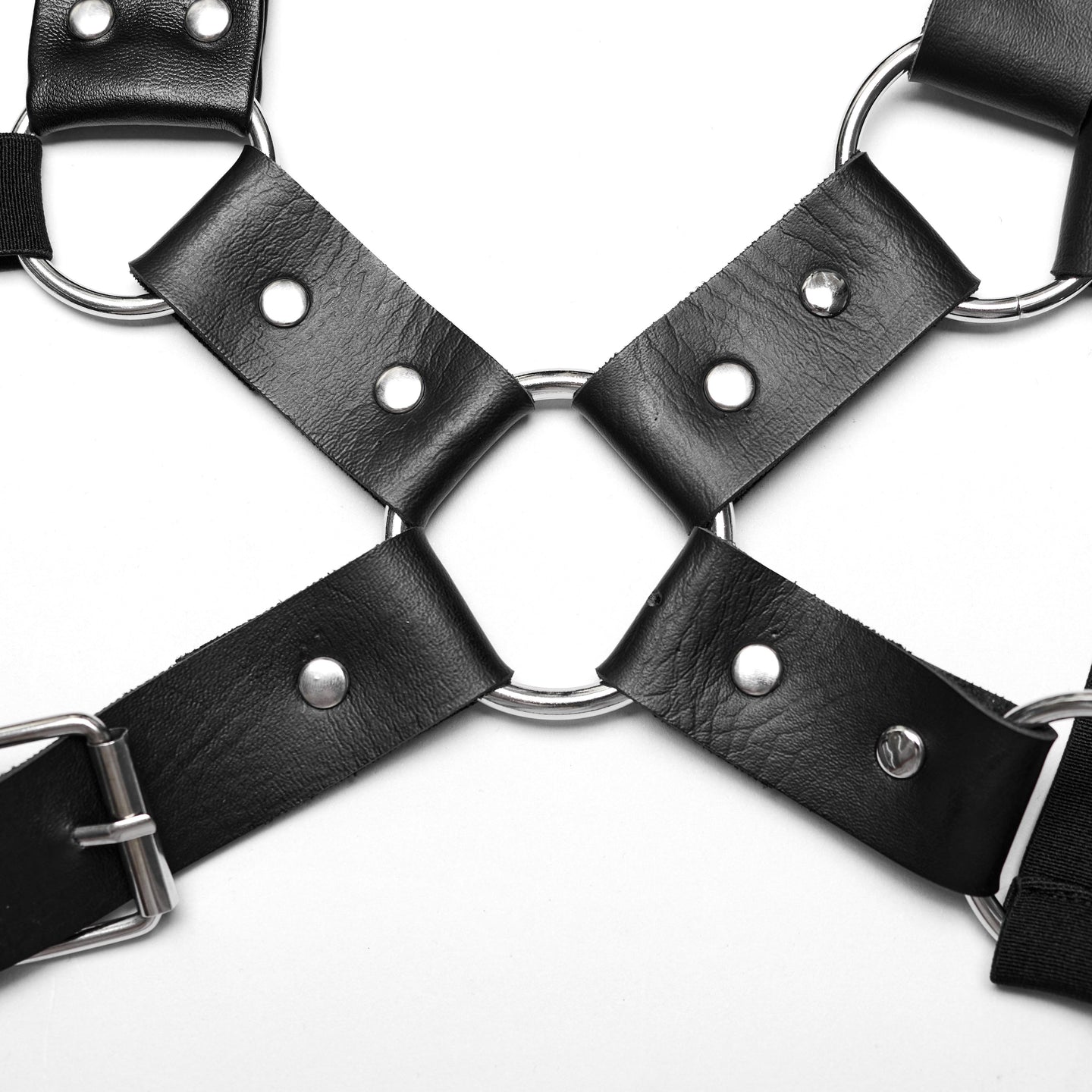 Learn Your Lesson Harness