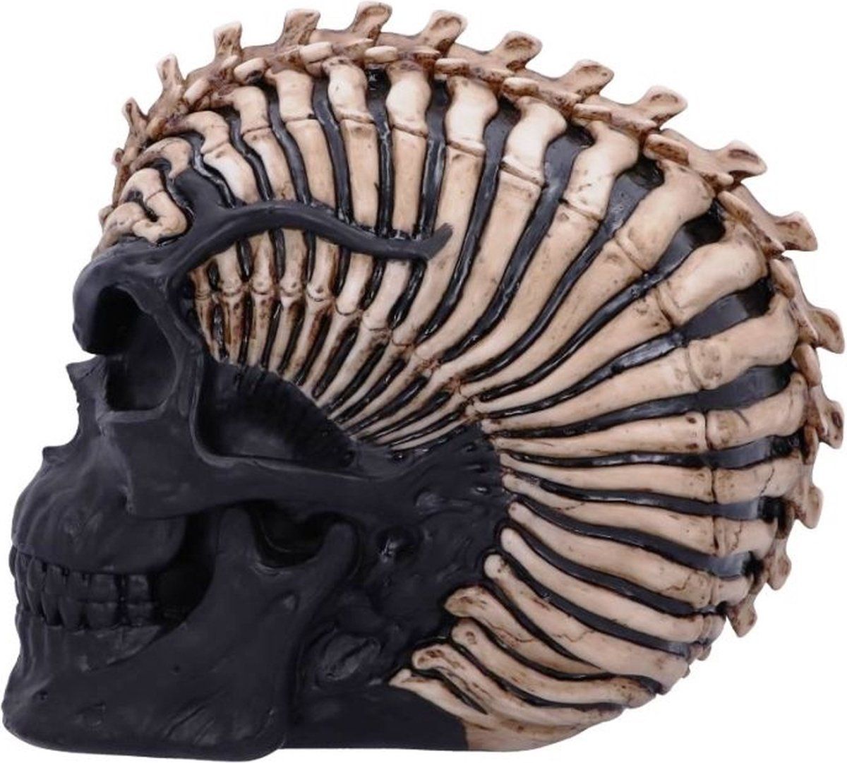 Spine Head Skull 18,5 cm