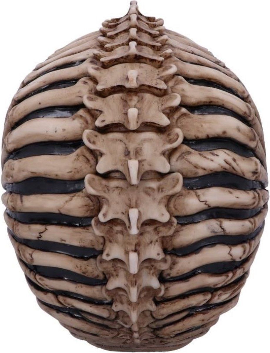 Spine Head Skull 18,5 cm