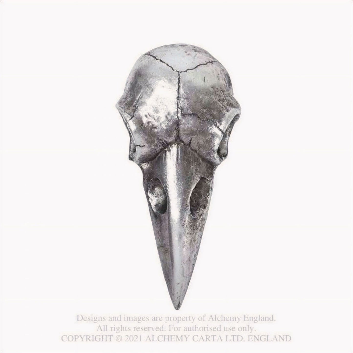 Raven Skull Hand Mirror