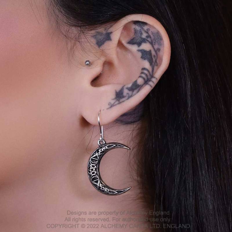 A Pact With A Prince Earrings