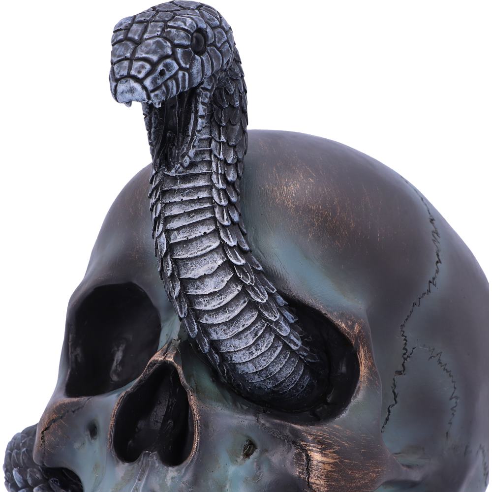 Serpentine Faith Skull 19 cm