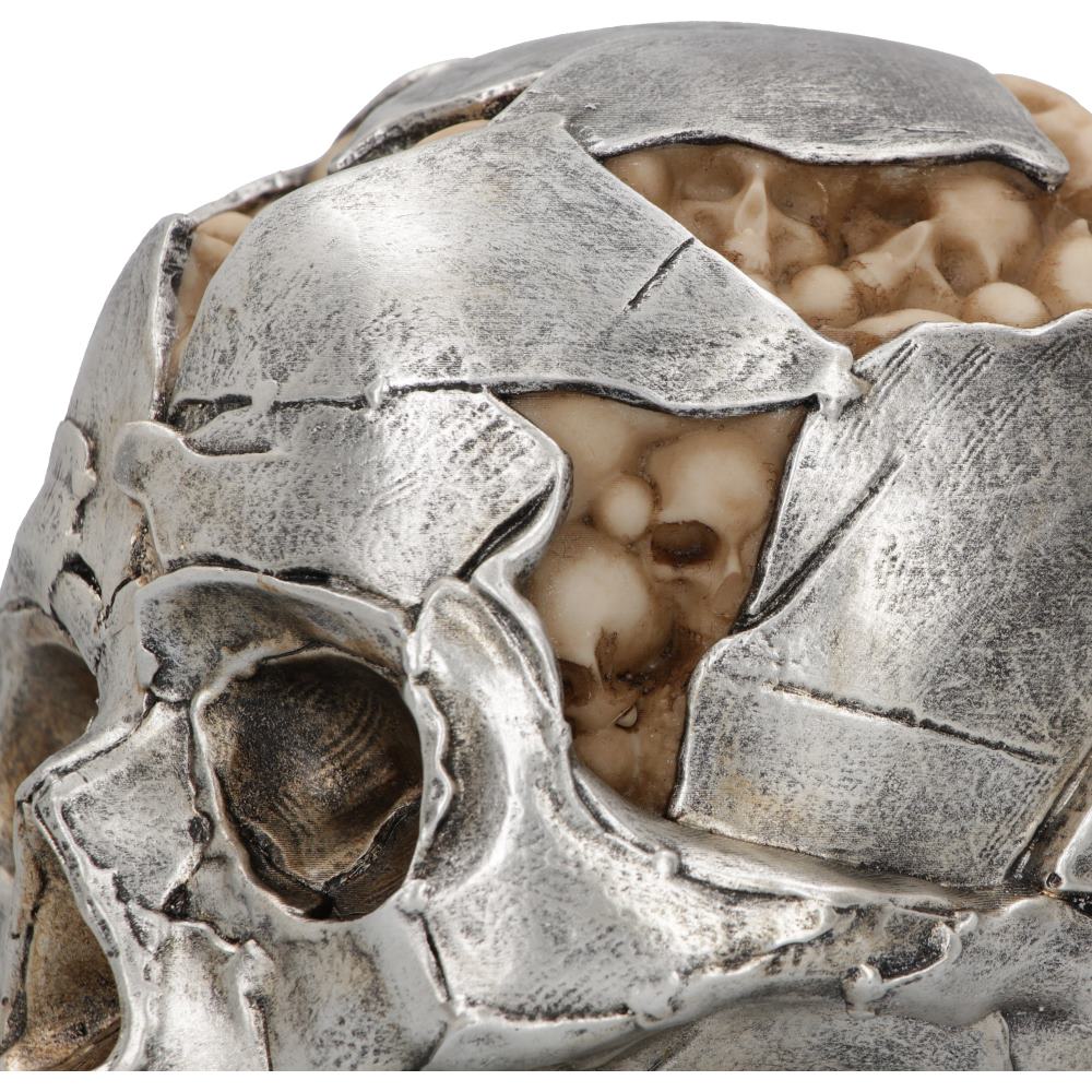 Fracture Skull Small 11 cm
