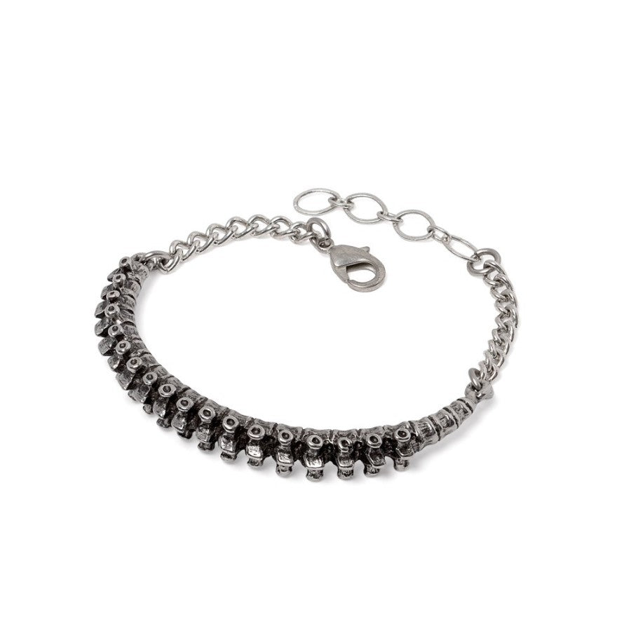 Alchemy Gothic A148 pewter spine bracelet flat lay view showing the detailed vertebrae design and the secure closure.