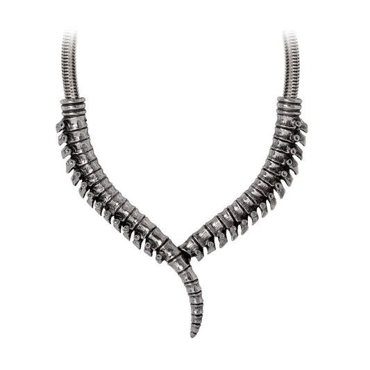 Thoracic Collar Halsketting