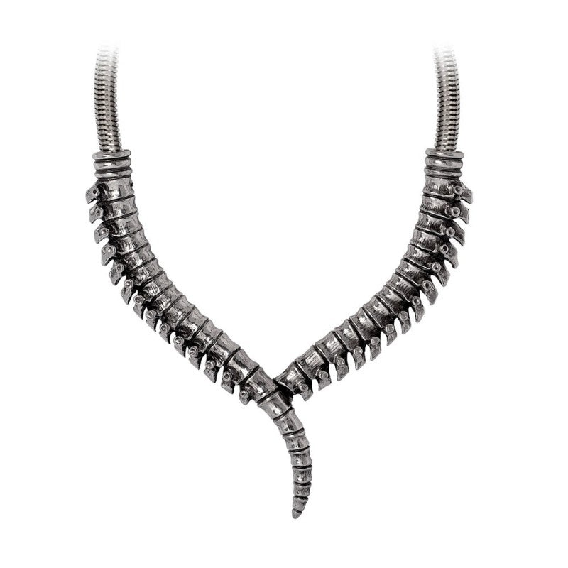 Thoracic Collar Halsketting