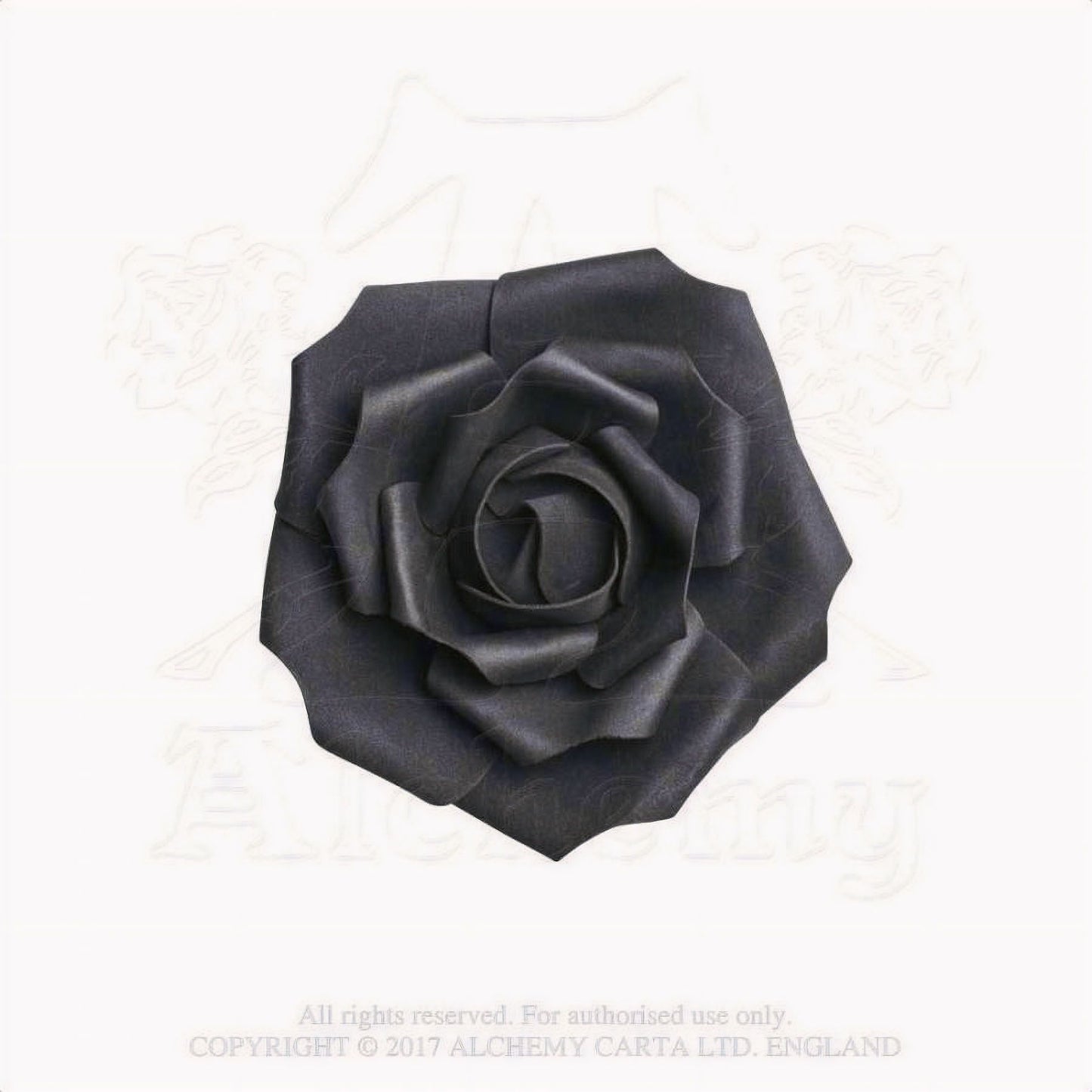 Small Black Rose Head