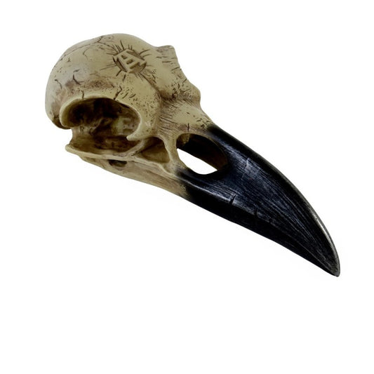 Corvus Alchemica Schedel