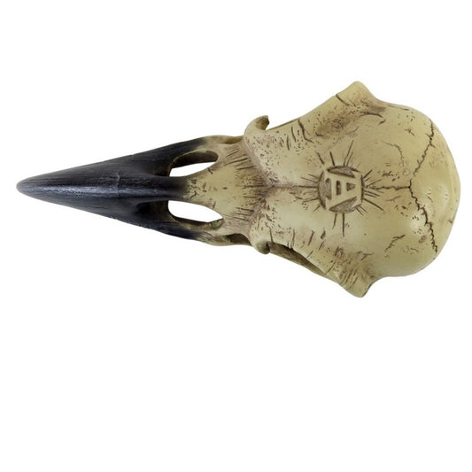 Corvus Alchemica Schedel
