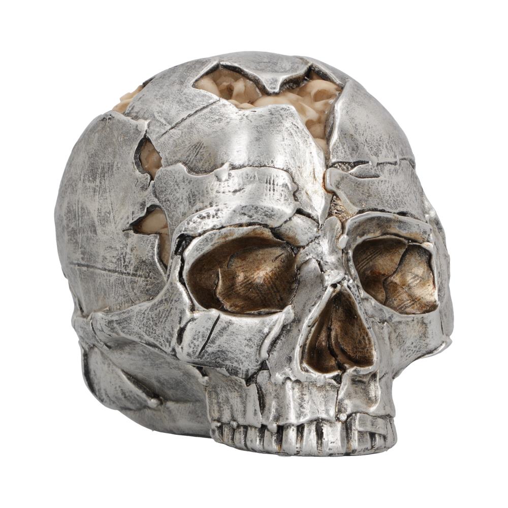 Fracture Skull Large 16 cm