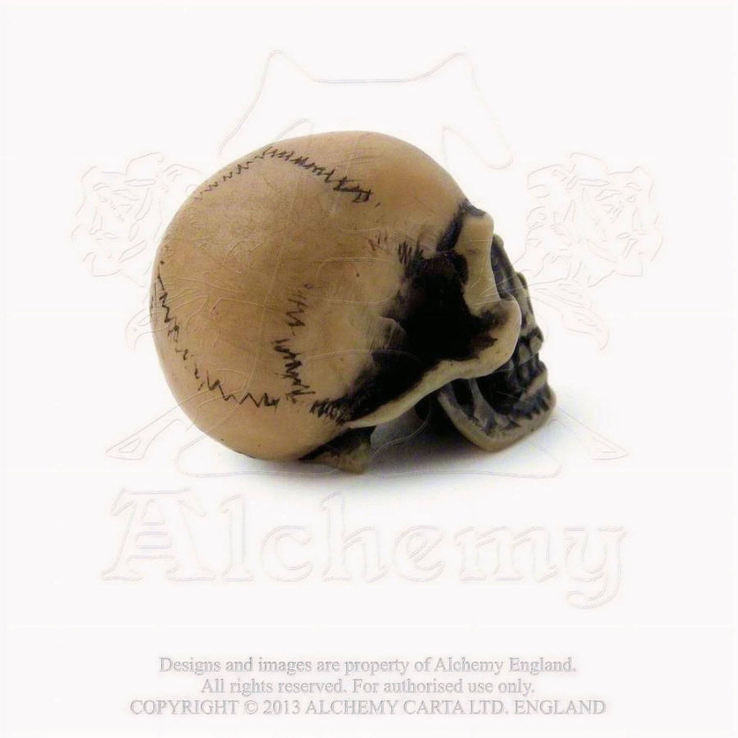 Lapillus Worry Skull