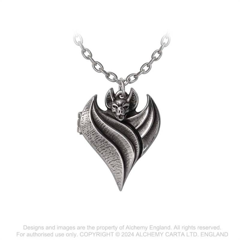 Alchemy Gothic Darken Heart Locket - Halsketting