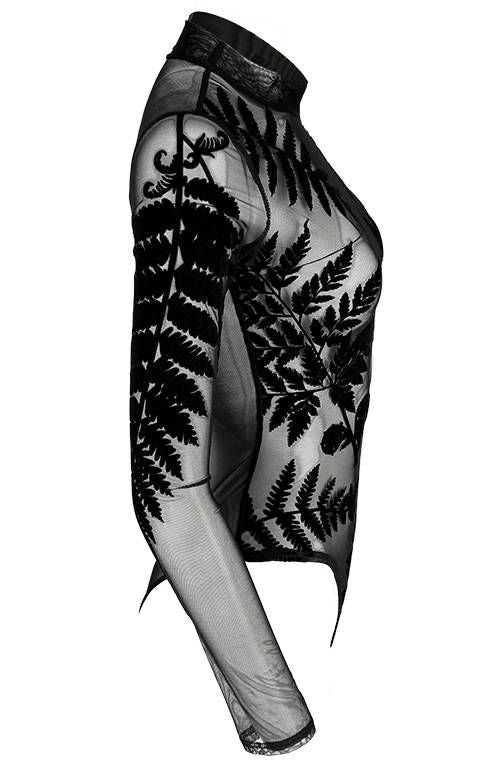 Fern Body