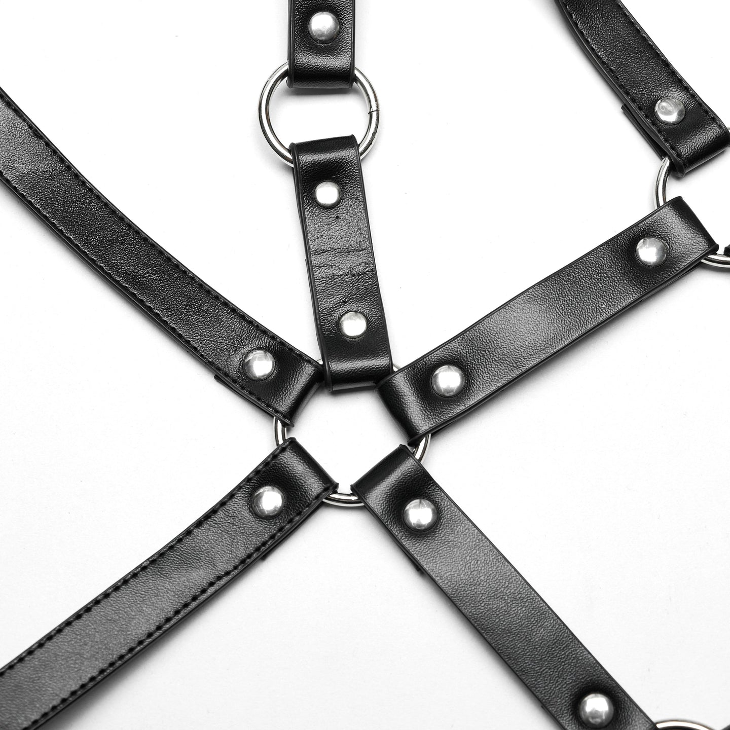 Intrigued Harness