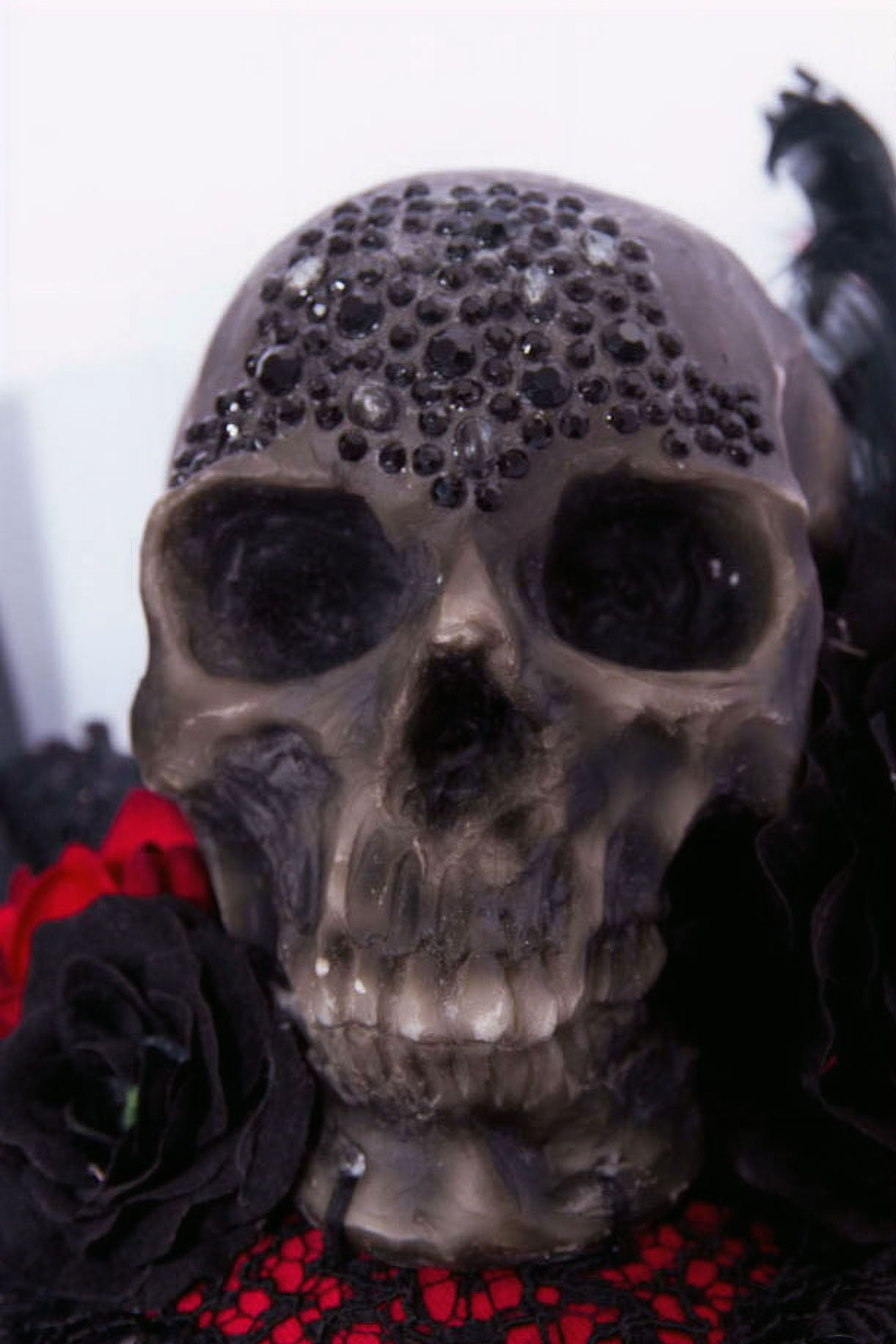 Skull Headpiece