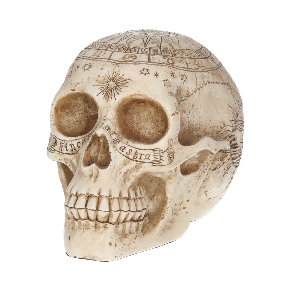 Astrological Skull 20 cm