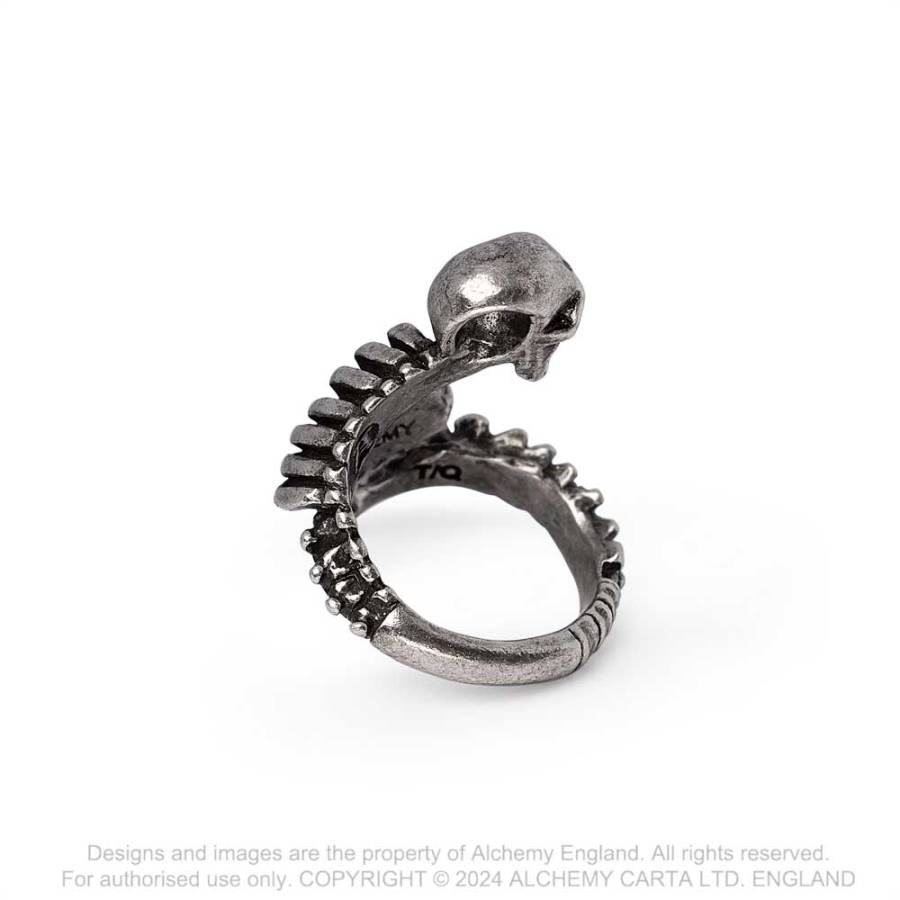 Resurrected Ring