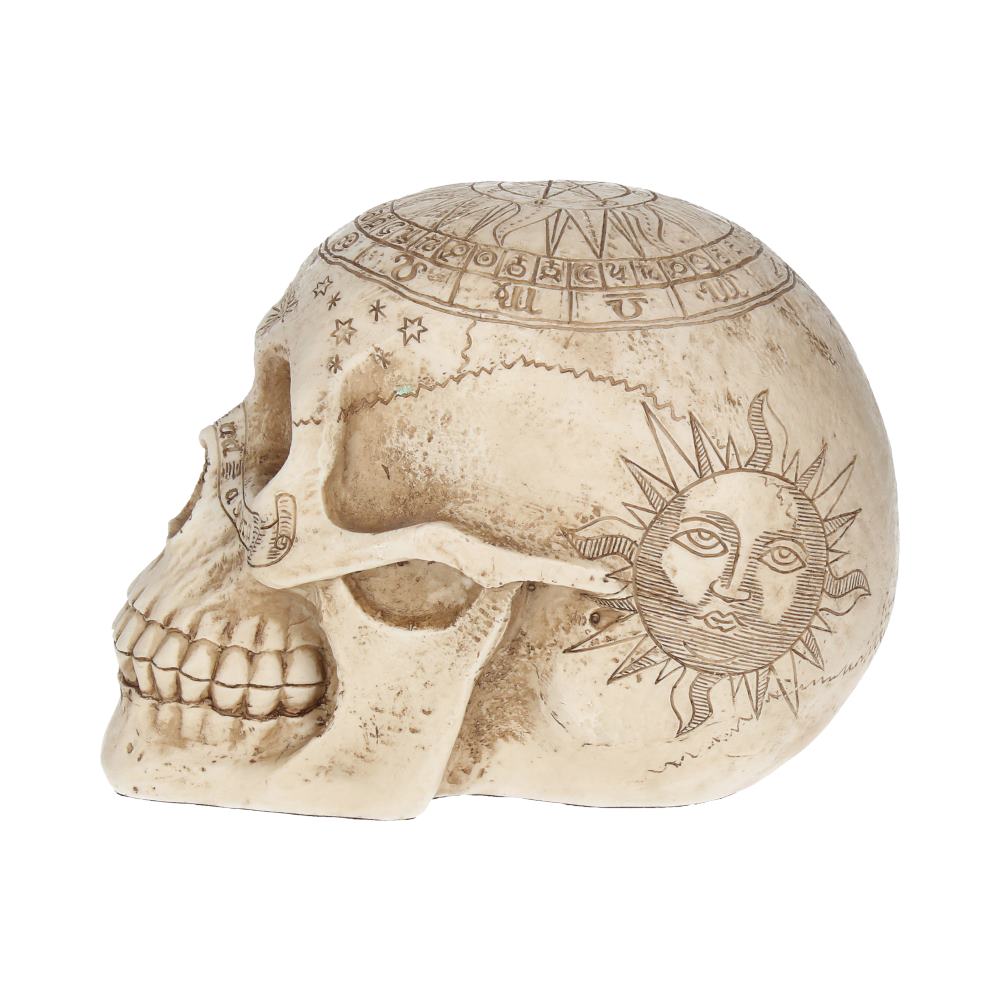 Astrological Skull 20 cm