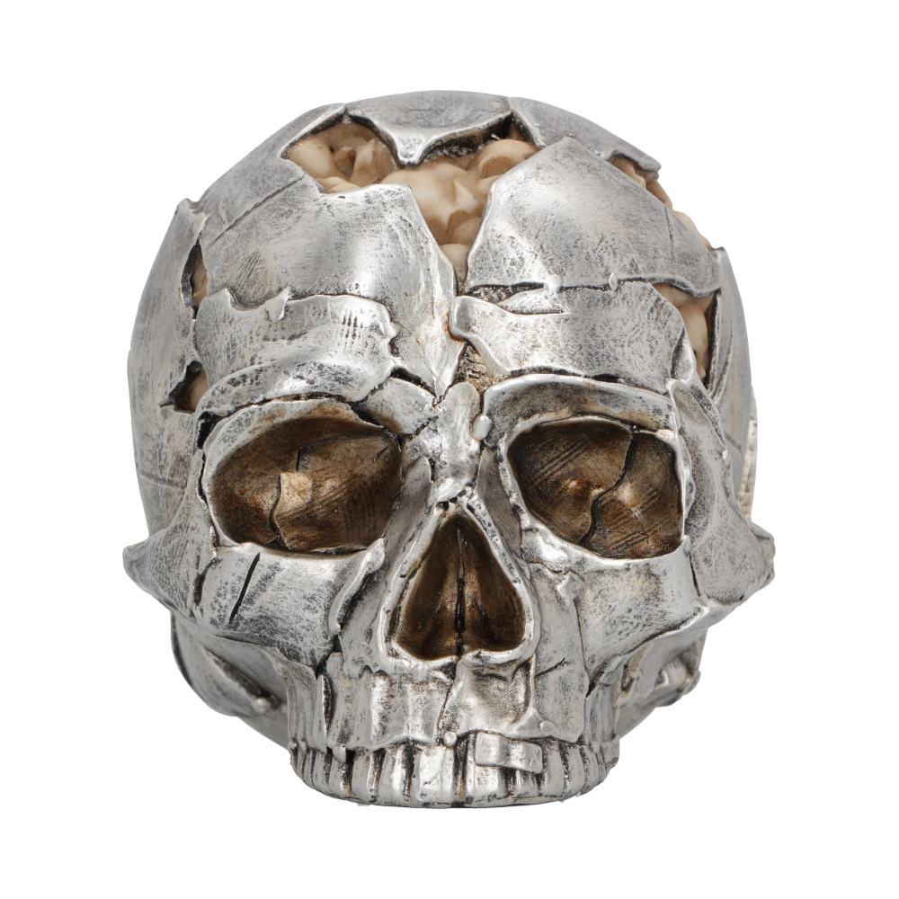 Fracture Skull Large 16 cm