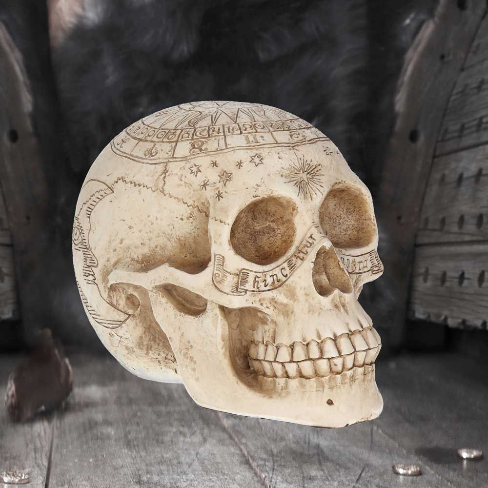 Astrological Skull 20 cm